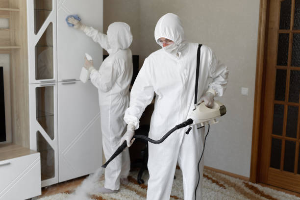 Best Local Mold Removal Service  in Des Peres, MO