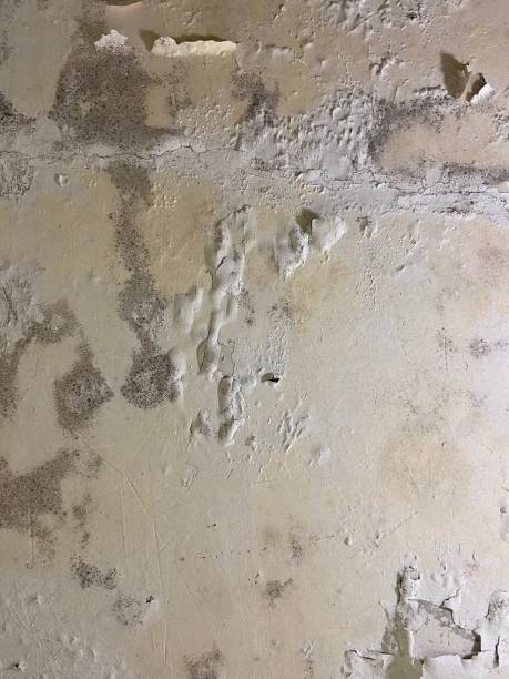 Water Damage Restoration in Des Peres, MO